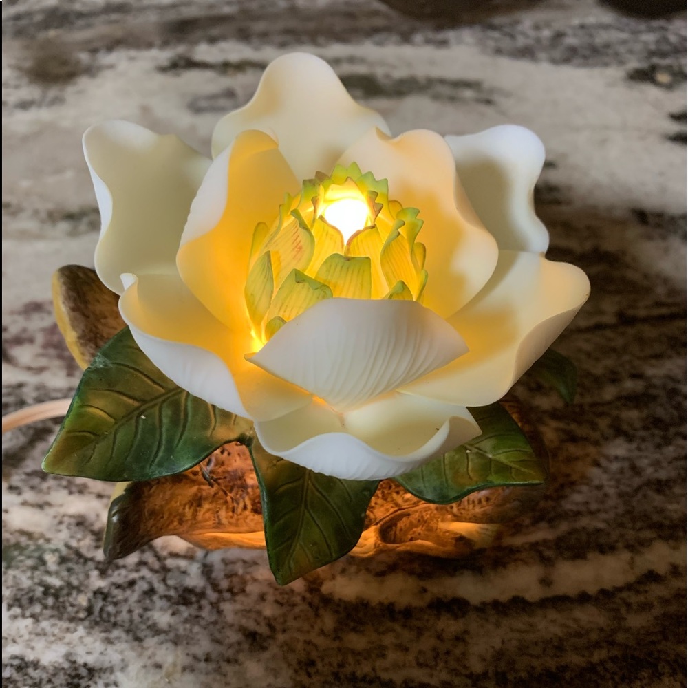 New porcelain Magnolia Light